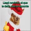 🎄Mood Navideño (Plantillas)🎄 (zpv7kc5ytb)