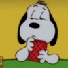 Snoopy🐕🌼🪄 (9whbmqfnr2)