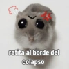Rata triste Hámster Meme 🐹 (f8sdnjtm5k)
