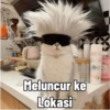 Kucing Tahun Baru (dyzv2539wp)