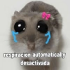 Rata triste Hámster Meme 🐹 (wvyzb37h46)