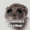 Rata triste Hámster Meme 🐹 (9rpnyvwfz4)
