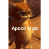Frases de Gatos  (vrpf985kdy)