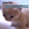Sapecagem  (468m7jynq2)