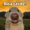 Cumprimentos (bom dia, etc) (f54rhp7wx9)