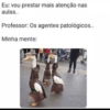 Como? (t8byfvzmk2)