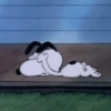 Snoopy🐕🌼🪄 (2jc46znfqd)