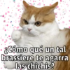 🐱🐾Mishis🐈🐈‍⬛Para Tu Crush💘😻 (scgzy723hk)