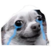 Sad triste (rjw6xb47pm)