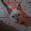 مرحبا بالمجموعة 😈 (hs6z2tvmb4)
