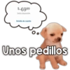 Unos pedillos 🤎🐕 (pd8rxs6z2n)