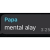 MEME INDO 2 (h6s8d3rpc5)