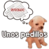 Unos pedillos 🤎🐕 (hp9j4z3825)