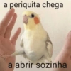 كوكاتيل شقي