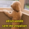 Pack de doguinhos zoeiros 🐶🤣 (8xtvy65kpc)