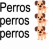 Frases para chat 2 (r5c734psvg)