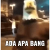 MEME INDO (hqjcgk97tp)