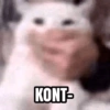 Meme Viral 2025 (zh2w4msxr7)