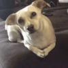 😎 Animales DIVERTIDOS 4 💯😎 (s7hzrkjng4)