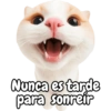 Frases de gatito #2🐱💬