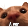 Michis Caóticos🐱 (c3wvgf9kxt)