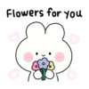 Bunny cute! (26hdgv3pt7)