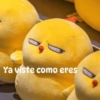 Memes para compartir 🤙 (4tbvc8mkdx)
