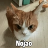 Michis Caóticos🐱 (8wygj5f7t2)