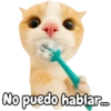 Frases de gatito #2🐱💬