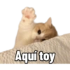 Michis Caóticos🐱 (hdtwpf5gv4)