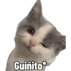 Michis Caóticos🐱 (pky6f9jzdn)