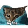 Michis Caóticos🐱 (2sxr9mnp54)