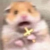 الهامستر 🐹 (wh9vc3fzj6)
