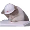 يضغط الموت