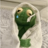 El de los Muppets 🤑🐸 (2zxdn9tgbh)