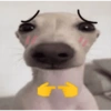 إطراء بخجل