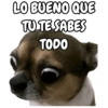 🐕🐶Perrito sin palabras 😬🙁 (jpwhvg9c25)