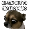 🐕🐶Perrito sin palabras 😬🙁 (qpt3bs5jwd)