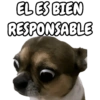 🐕🐶Perrito sin palabras 😬🙁 (x5jdzqybht)