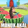 Stiker Random (2) (js3h6m7knz)