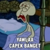 MEME SPONGEBOB 🧽 (s8f3g9zvp5)
