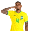 World Cup 2022 - Brazil 🇧🇷 (g5xnwzq9m4)