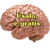 Insulti (cy5fxp98nh)