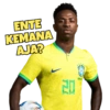 World Cup 2022 - Brazil 🇧🇷 (32g84qbpnc)