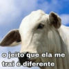 Coisa de Cornos (nfw2zycpxg)
