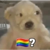 مثلي؟ الجرو يسأل