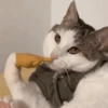 Who, me?