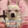 ChiHuAhUaS MoOd ✨🐕 (2sfvg4b5c9)