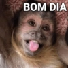 Macacos 🙈🙈🙈 (r3tn87by4q)