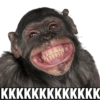 Macacos 🙈🙈🙈 (h7qc6t3ykr)